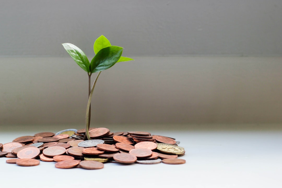 Startups fintech